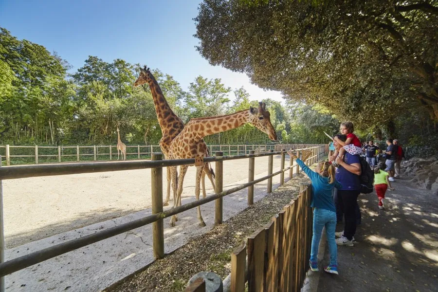 sortie au zoo des sables