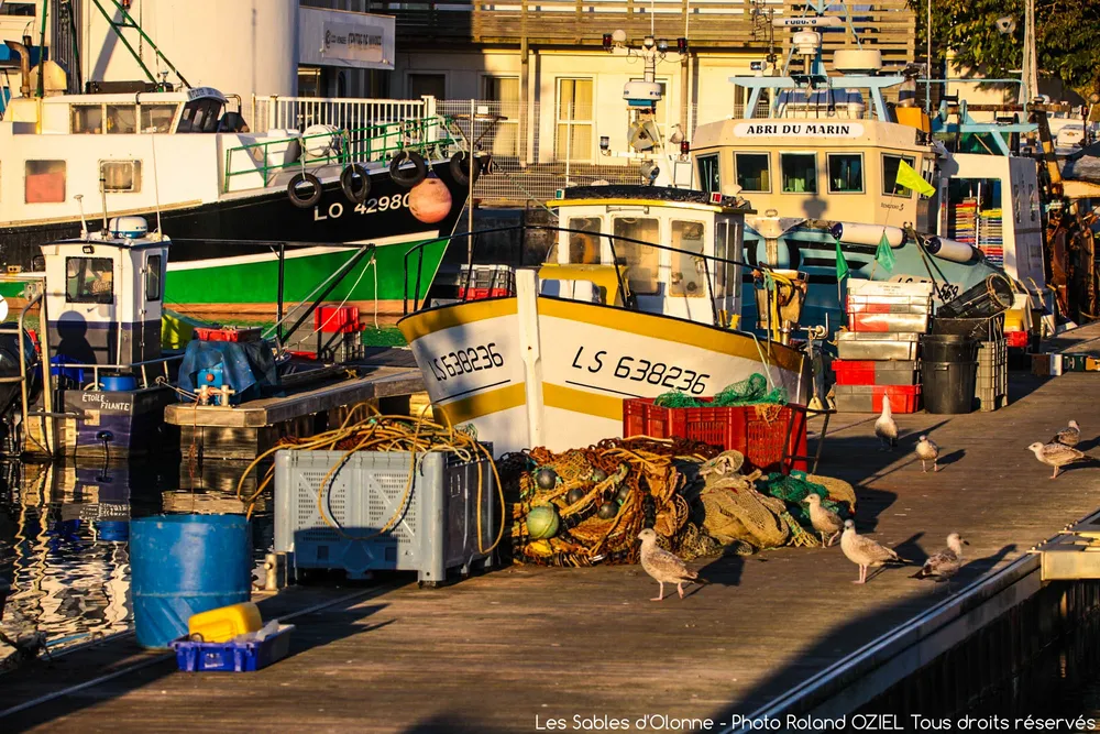 retour de pèche en bateau aux sables d'olonne