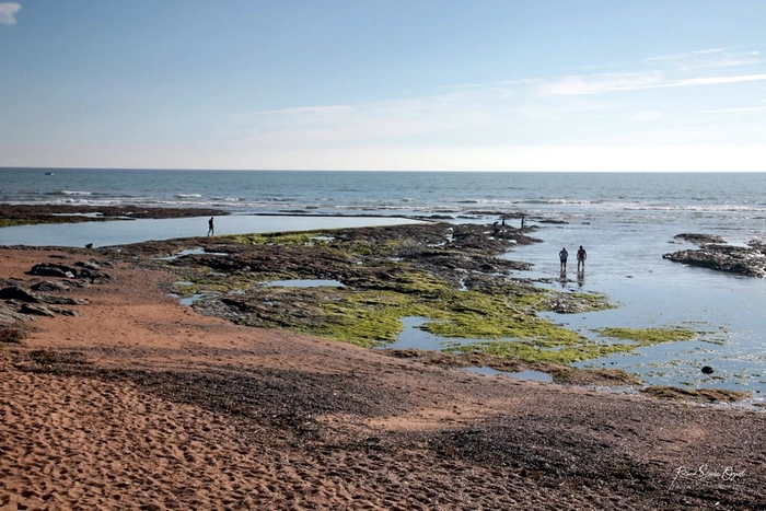 La pêche à pied sur la côte atlantique par une journée ensoleillé